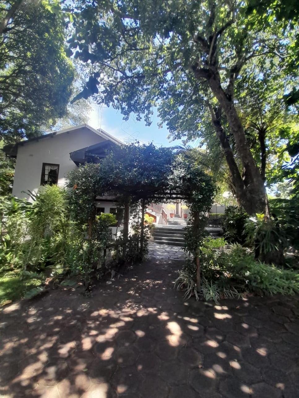 Figtree Lane Lodge リチャーズ・ベイ エクステリア 写真